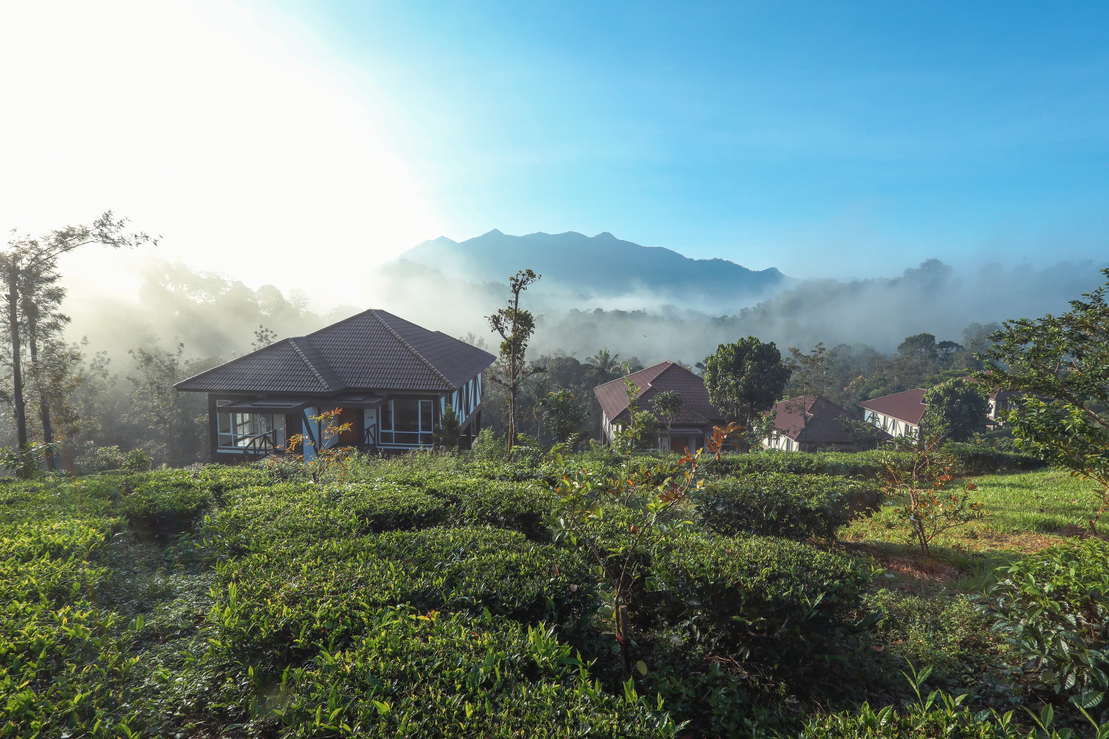 Jeevess Retreat Wayanad, Pozhuthana