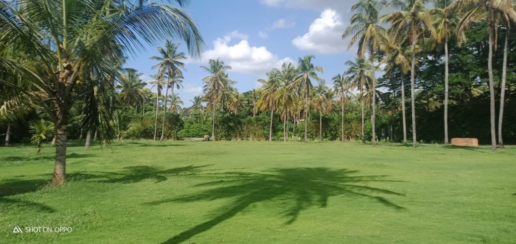 The Pavilion Lawn, Mysuru