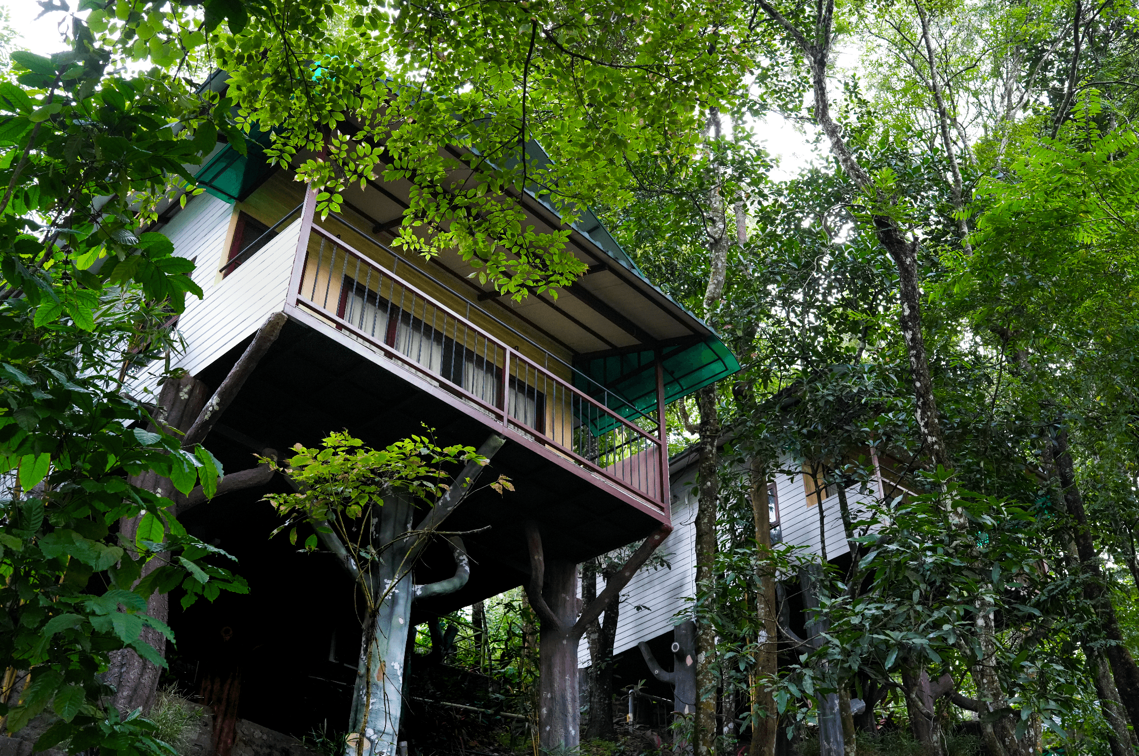 Space Rock Resort, Kalpetta