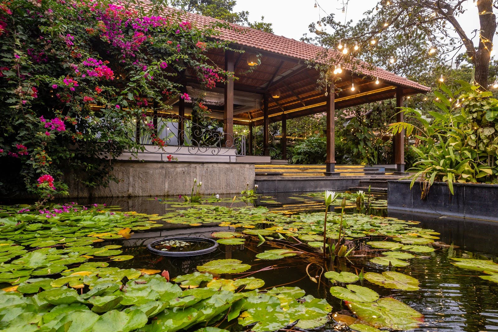 The Lily Pond, Bengaluru