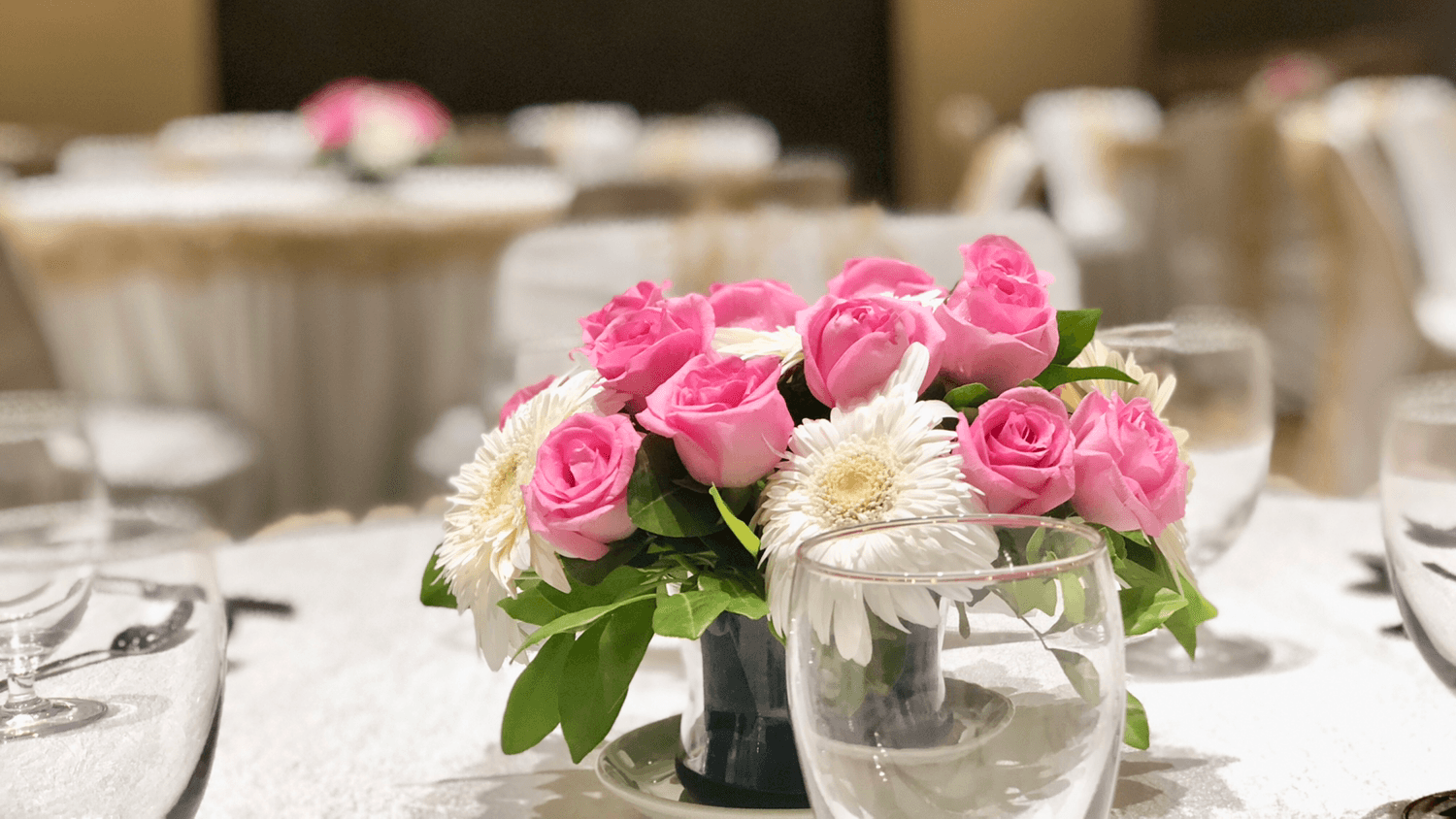 The Private Banquet, Vadodara
