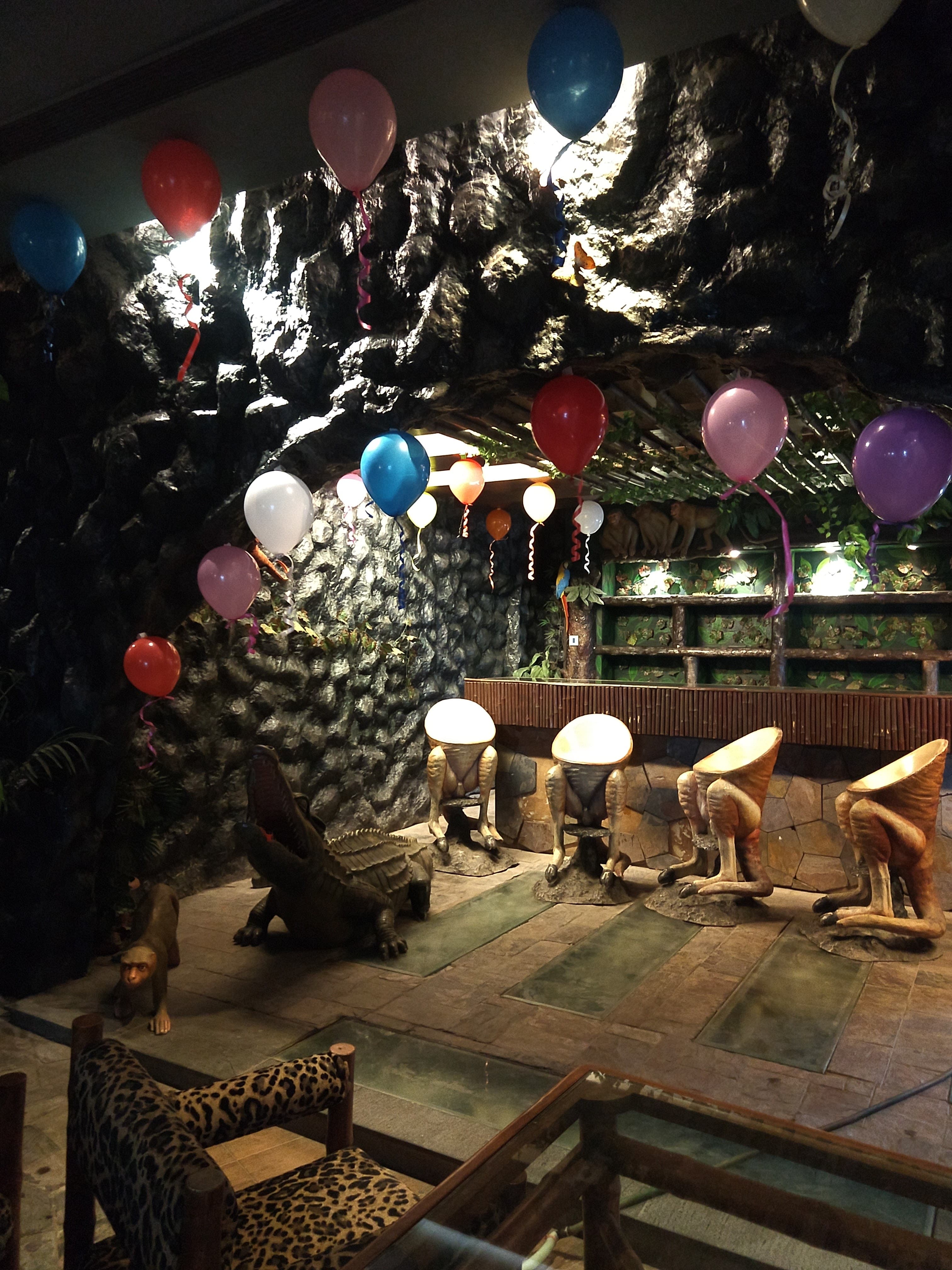 Rain Forest Banquet, Chandigarh