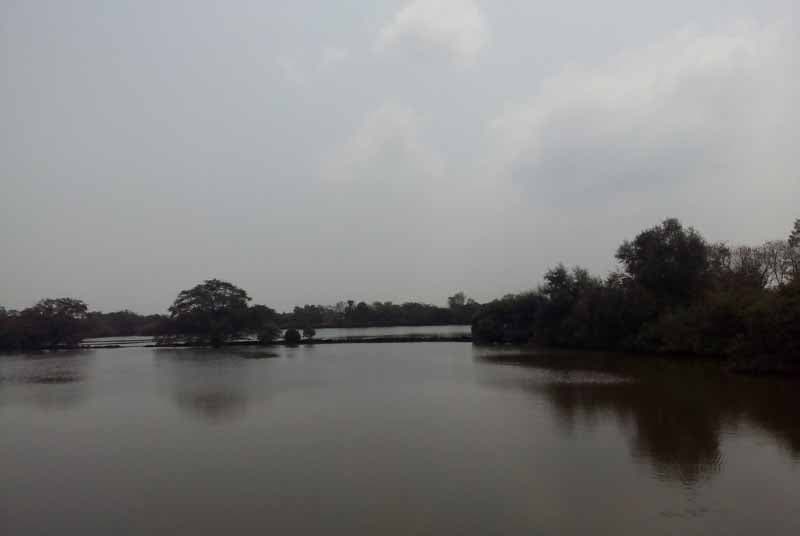 The Backwaters, Panaji